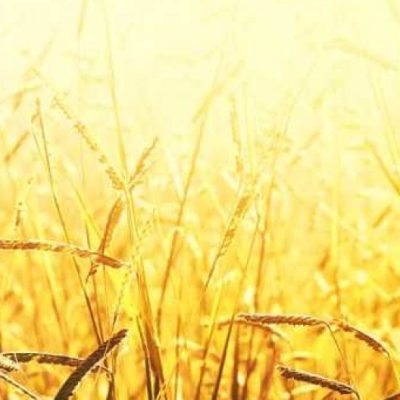 God is With&nbsp;You