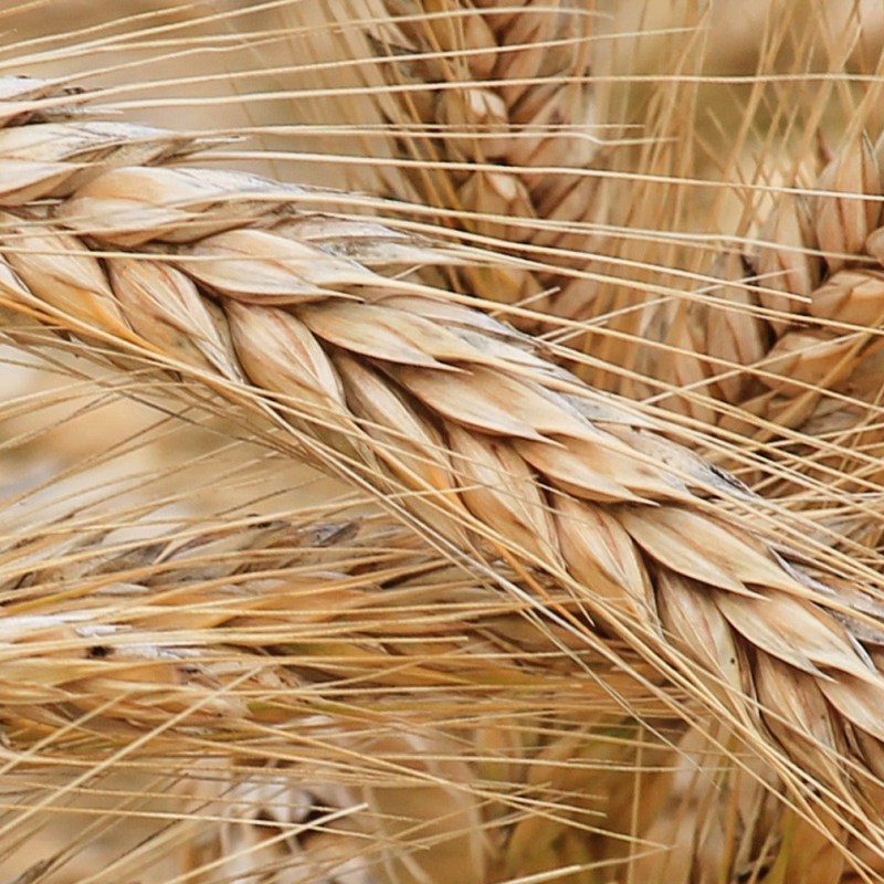 Ephesians Ch2: v&nbsp;1-10