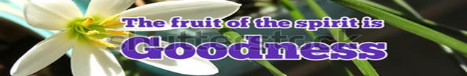 Fruit of The Spirit part 6 –&nbsp;Goodness
