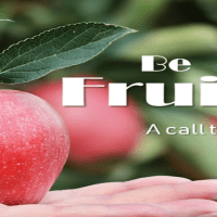 Being Fruitful Where You&nbsp;Are