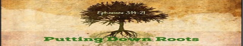 Putting Your Roots&nbsp;Down