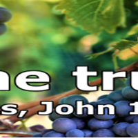 I am The True&nbsp;Vine