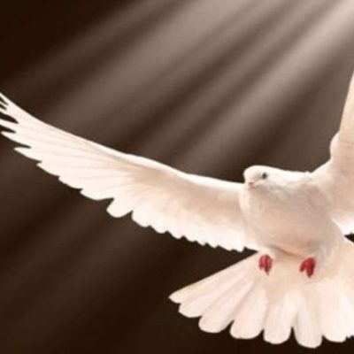 The Gift of&nbsp;Tongues